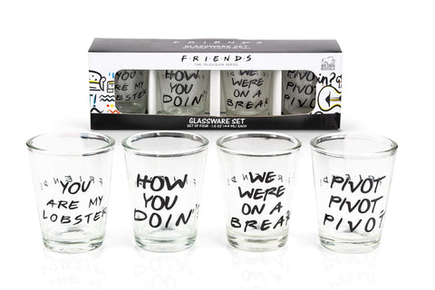 Vaso mini de Silver Buffalo con cita How You Doin?, perfecto para brindis entre amigos.
