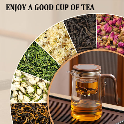 SINTENILL Enchant Tea Pot: capacidad de 800 ml para 2-4 tazas