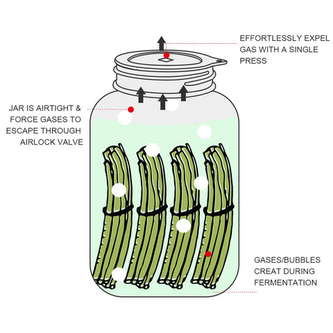 Tapas SOPHICO para kimchi y encurtidos, silicona reutilizable para frascos boca ancha.