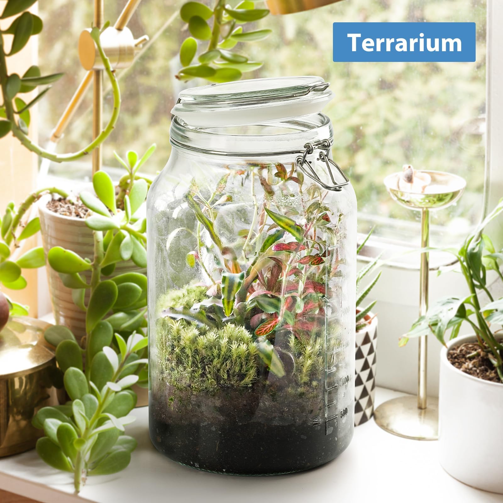 Frasco de vidrio 4,1 litros ideal para conservas