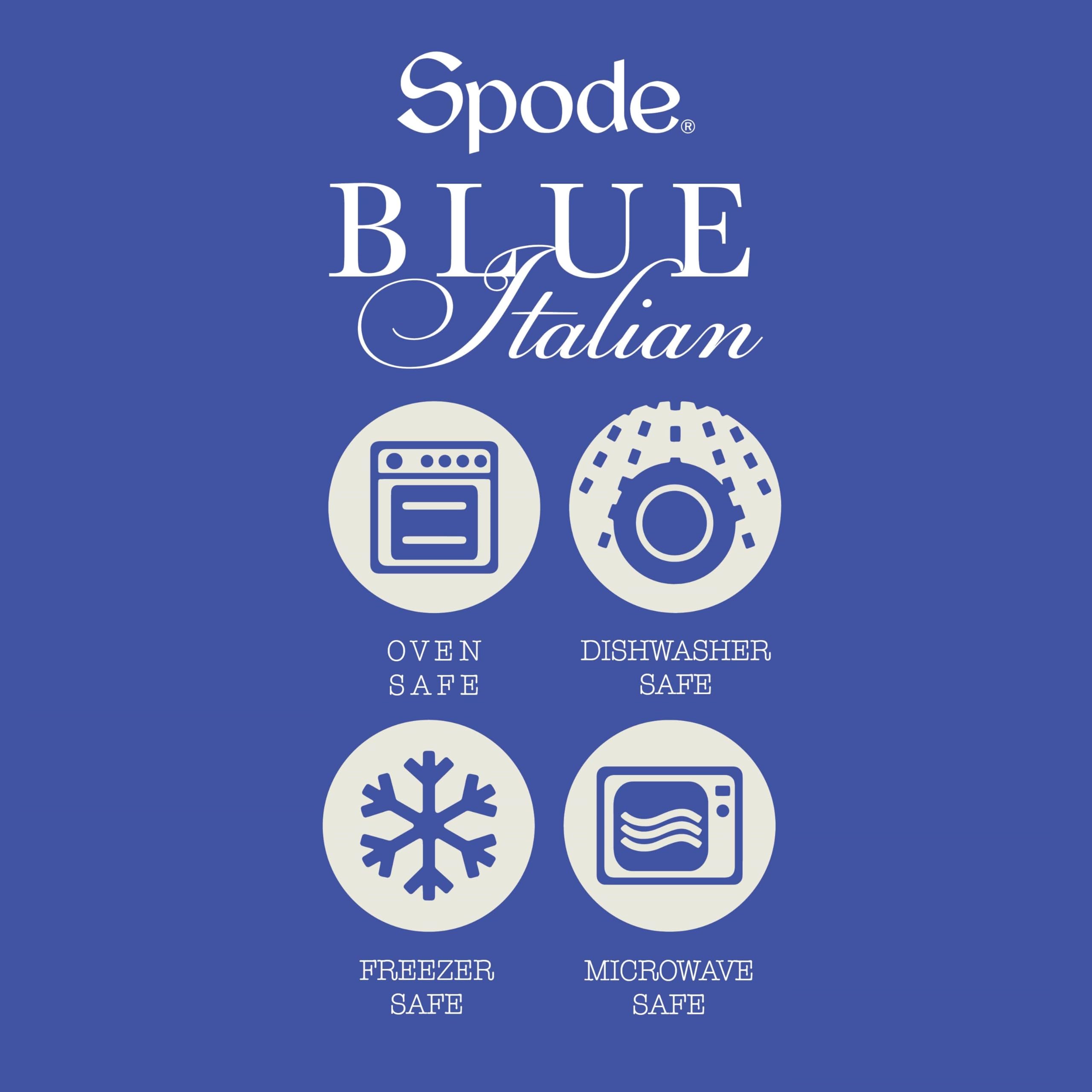 Spode Blue Italian: set de condimentos que añade sofisticación a cualquier mesa.