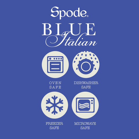 Spode Blue Italian: set de condimentos que añade sofisticación a cualquier mesa.