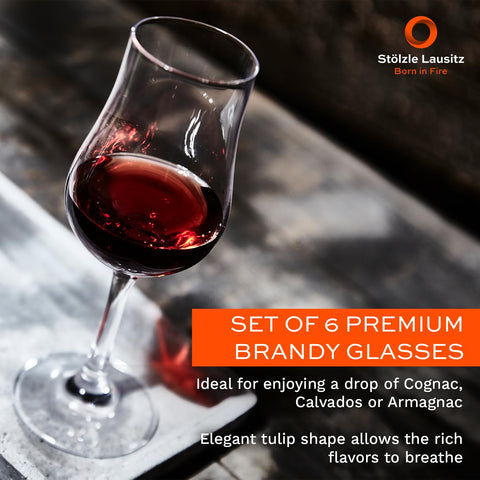 Copa brandy Stölzle Lausitz, forma tulipán para dirigir aromas intensos.