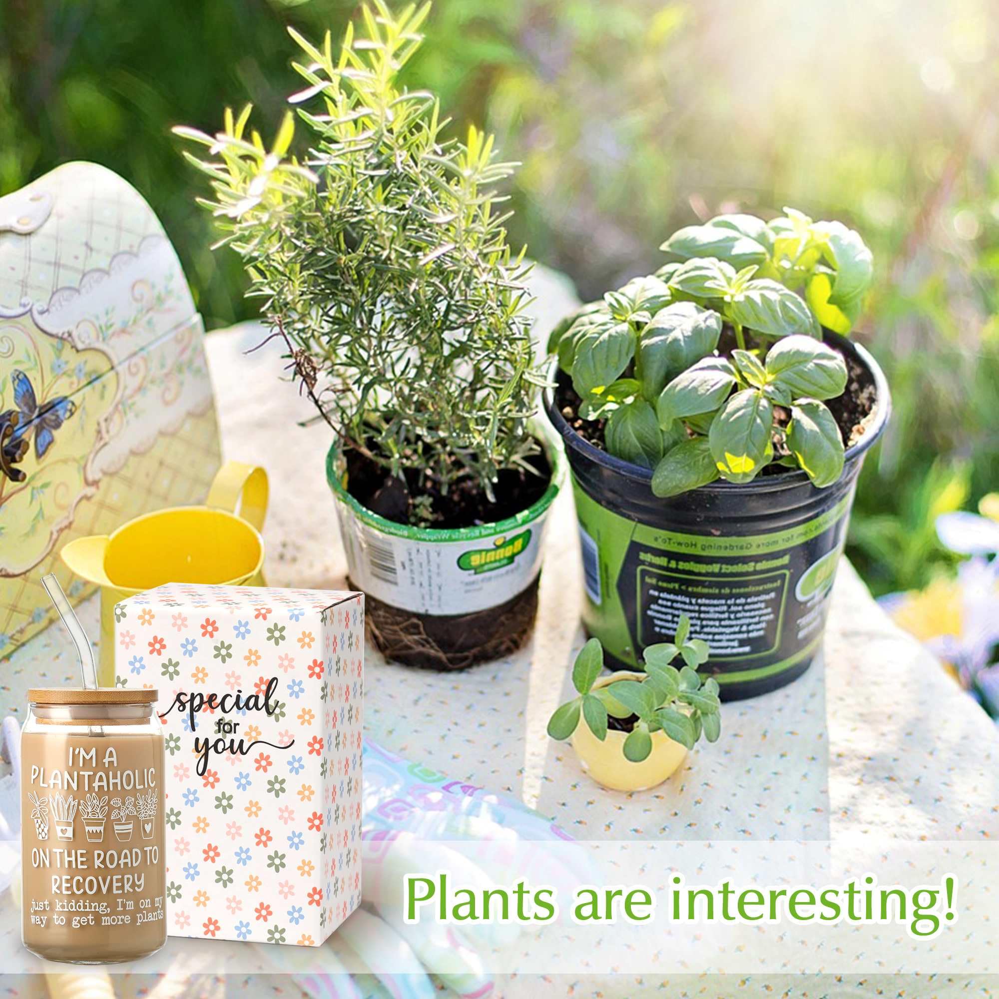 Regalo para jardineros y amantes de plantas, Supreme Lights 2017.
