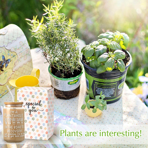 Regalo para jardineros y amantes de plantas, Supreme Lights 2017.