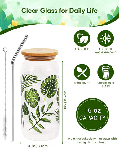 Caja regalo TAOVEEK de plantas, presentación lista para regalar.
