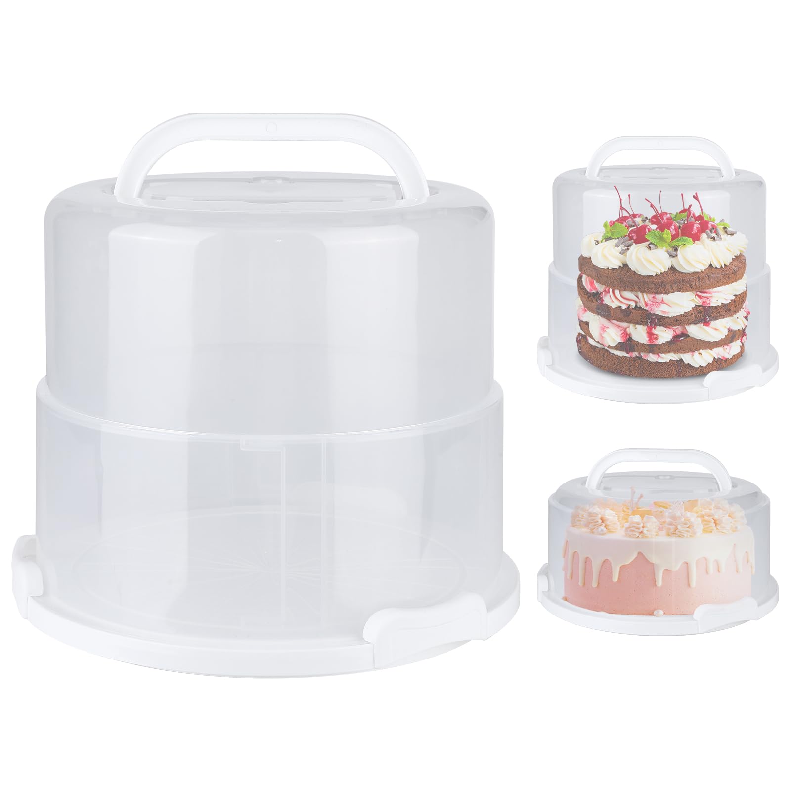 Portatorta plegable de Targihoemt con tapa y mango para transportar tortas de 10 pulgadas con facilidad