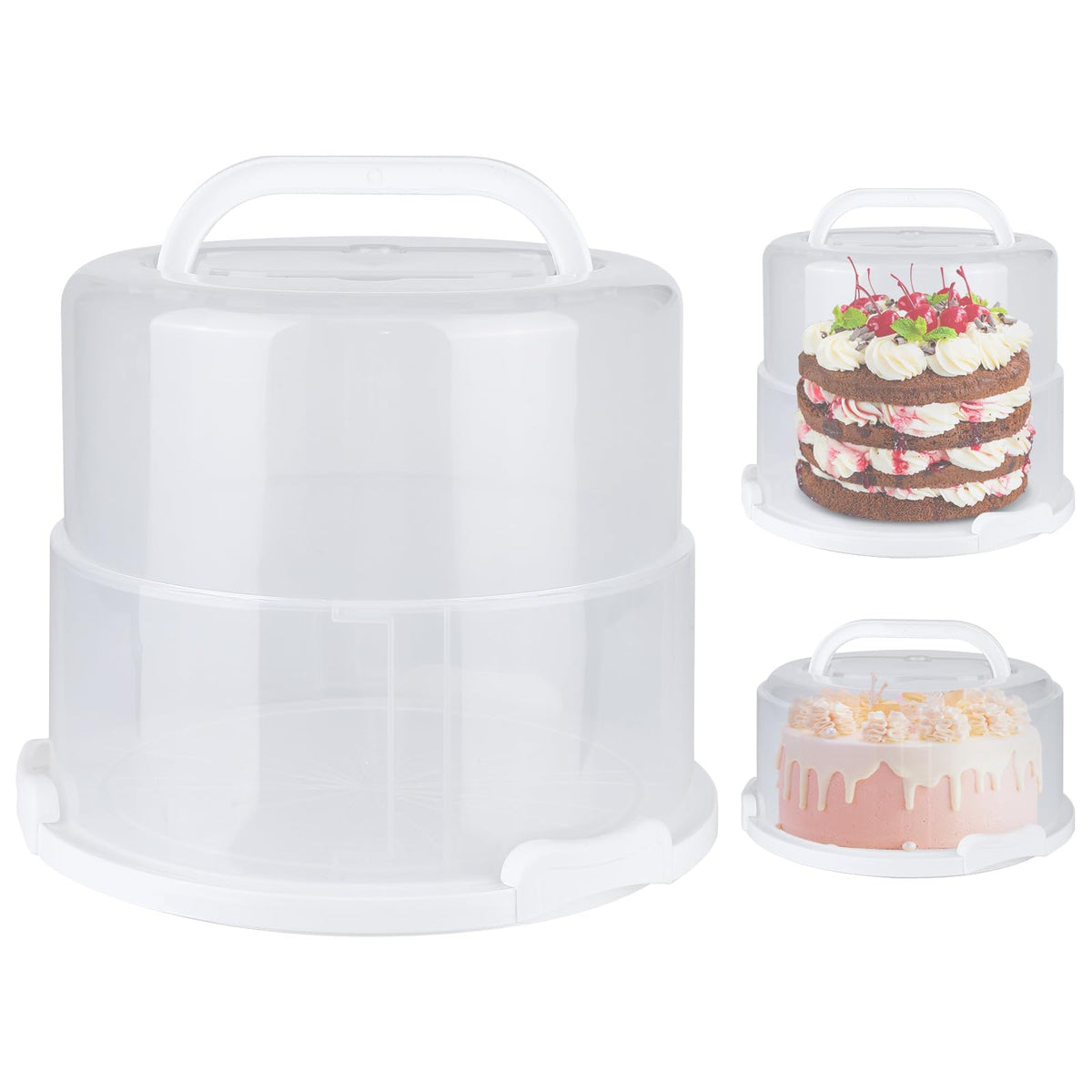 Portatorta plegable de Targihoemt con tapa y mango para transportar tortas de 10 pulgadas con facilidad