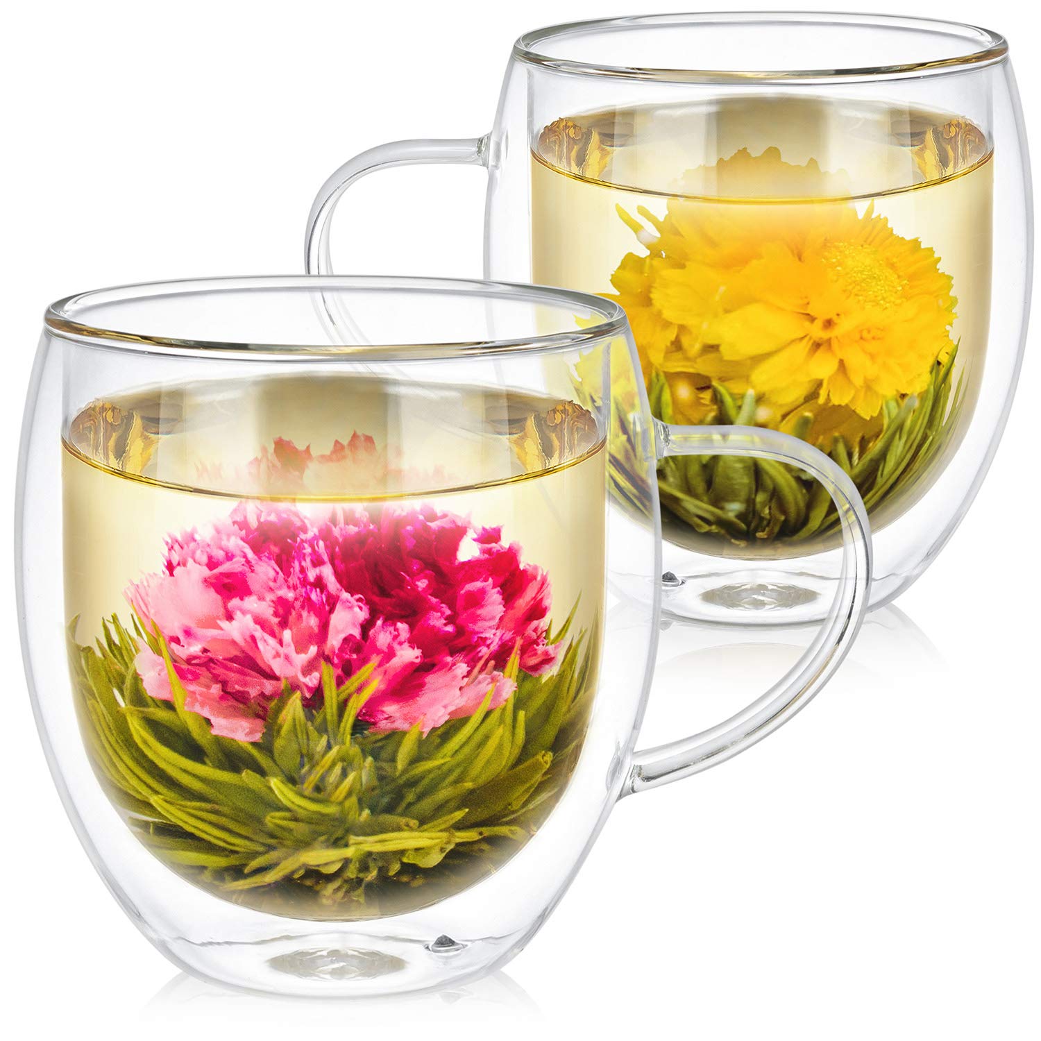 Teabloom tazas de vidrio aislado gran tamaño, vista lateral para ver el flujo del té