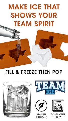 Team Ice cubos grandes con derretimiento lento para bebidas