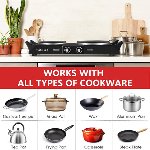 Techwood ES-3203 ajuste de temperatura, control preciso para salsas y huevos