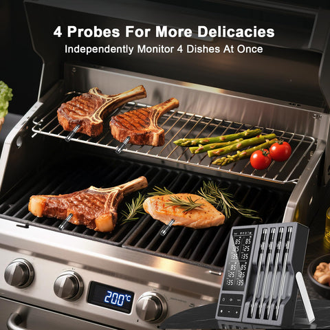 TEMMIO con alertas CHEFBBQ para monitoreo remoto sin WiFi.