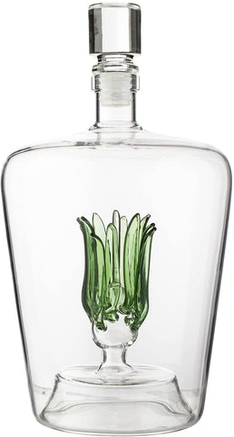 The Wine Savant Tequila Aloe Decanter con planta de agave, ideal para rituales y reuniones.