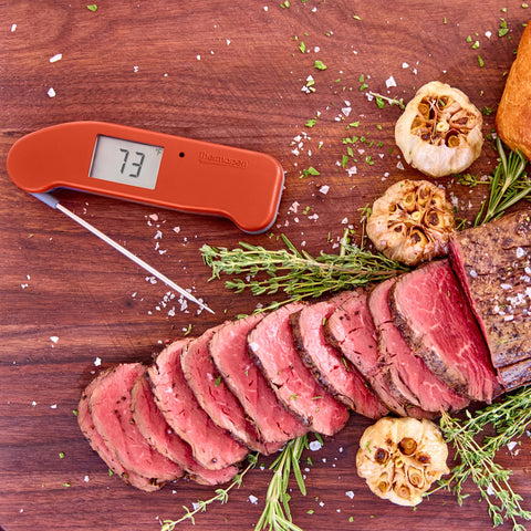 Thermapen ONE, diseño ergonómico para uso cómodo y preciso.