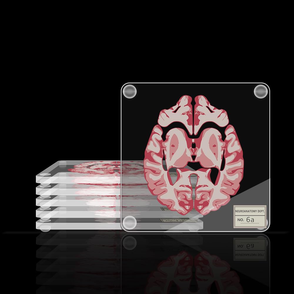 Timethink posavasos cerebro 3D: base antideslizante para tazas con confianza
