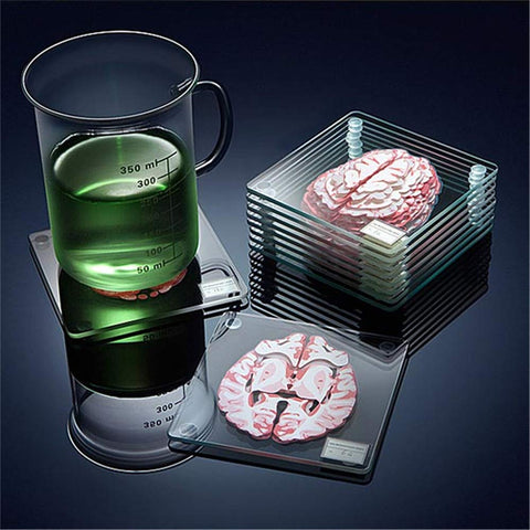Timethink posavasos cerebro 3D: detalle realista que sorprende en la oficina