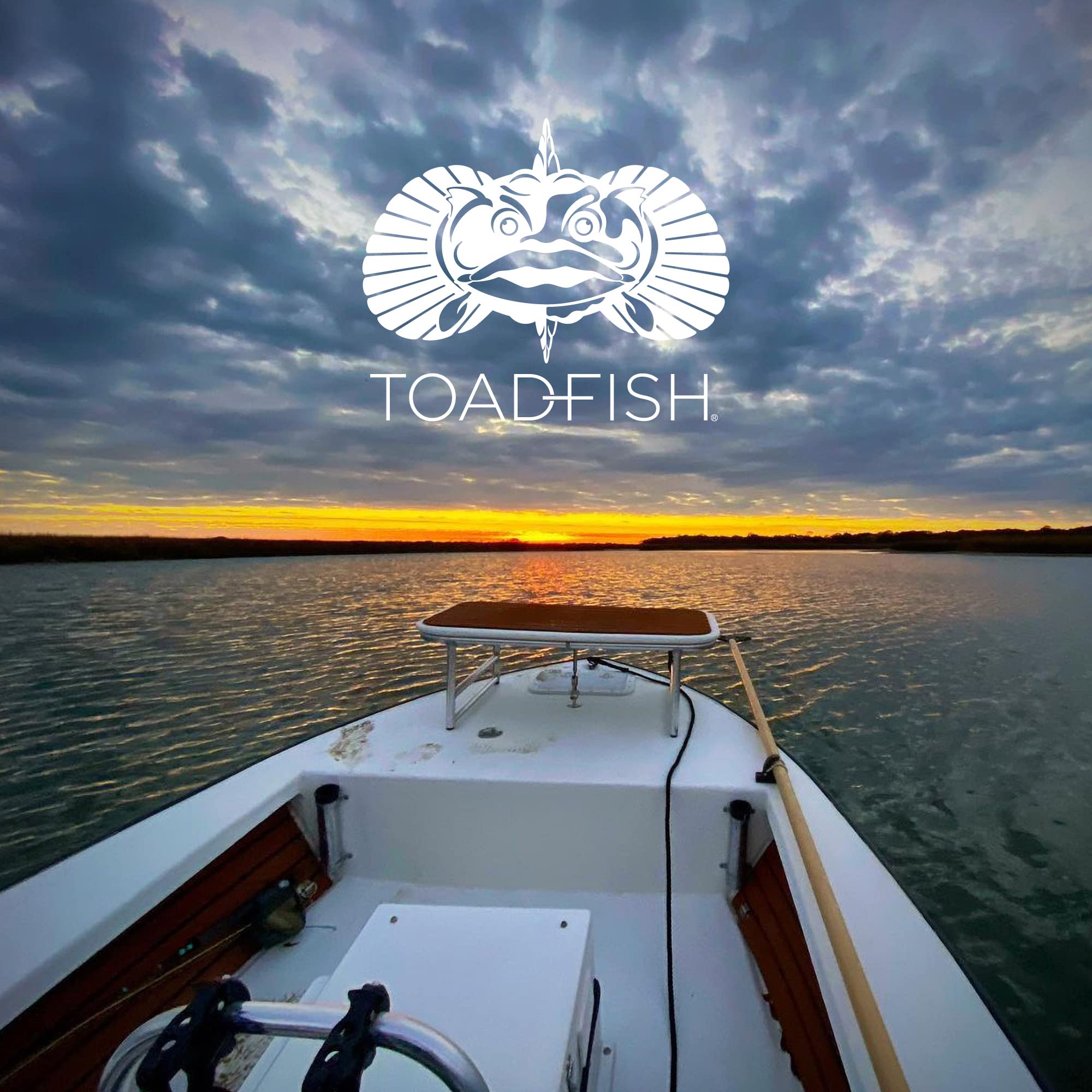 Toadfish caja disenadora ideal para regalo en la cocina