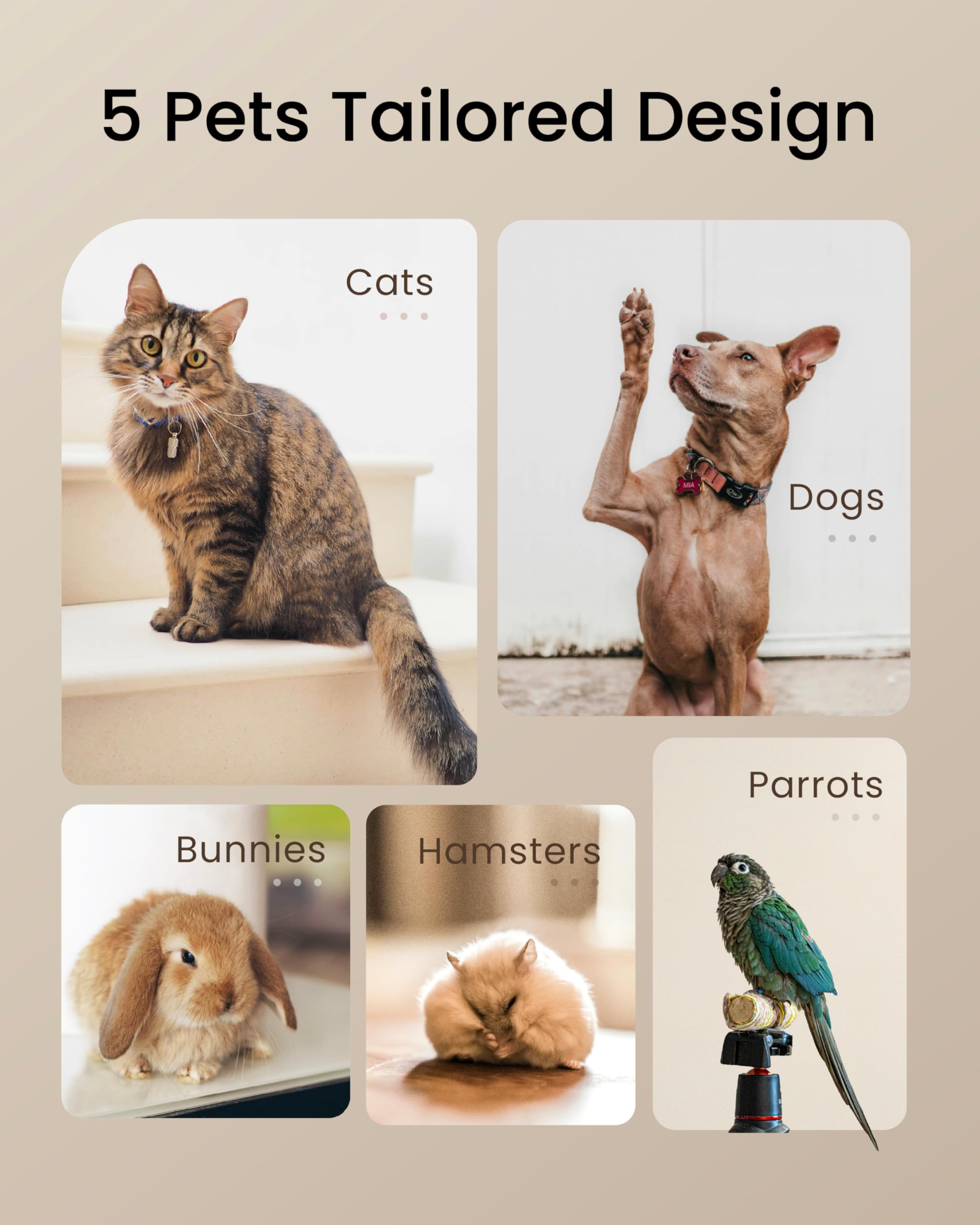 TOPTREES Pet Fresh Maker recetario de mascotas para ideas fáciles