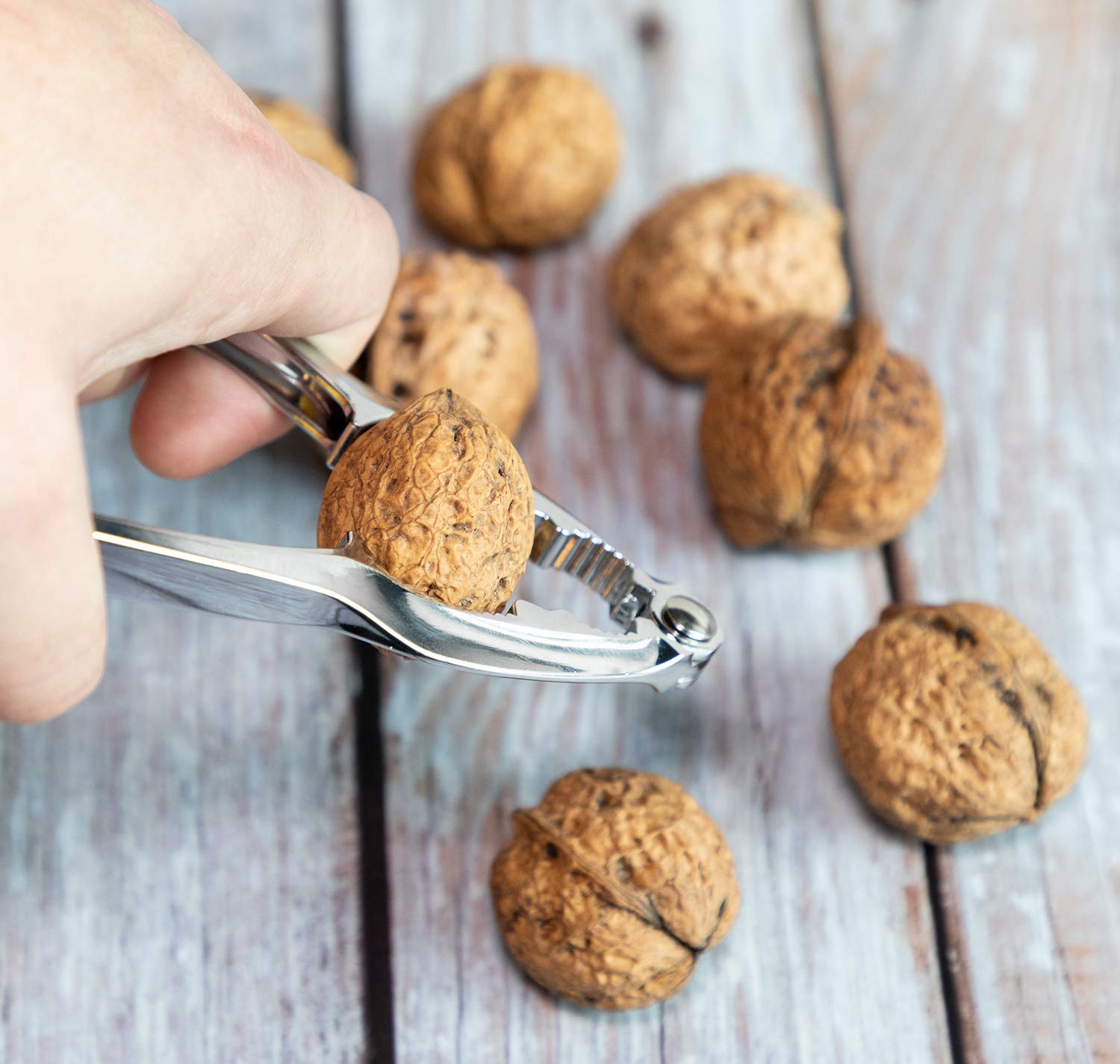 TORINALITAL aleación de zinc forjado ofrece durabilidad para uso diario.
