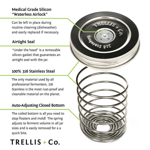 Trellis + Co. almacenamiento compacto para frascos fermentados en cocina.