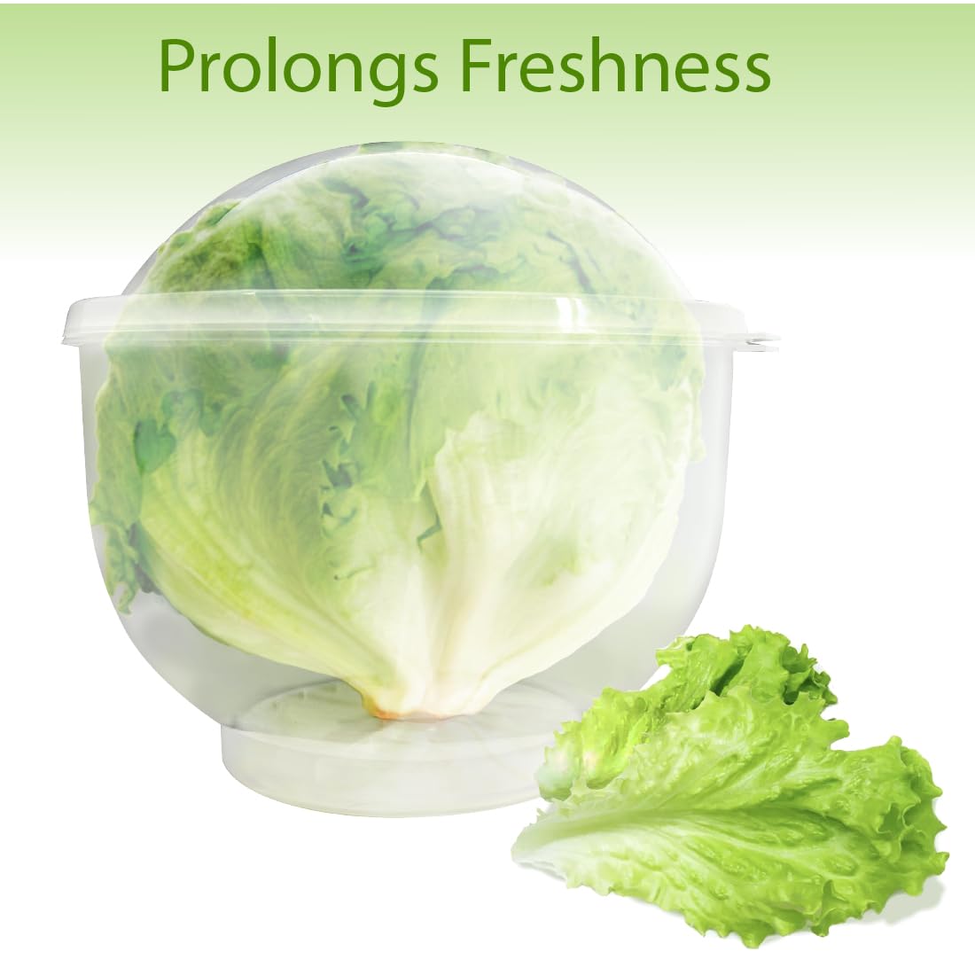 Trenton Gifts con drenaje para verduras, evita exceso de agua.