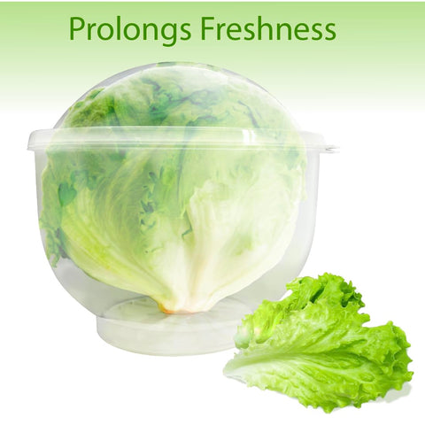 Trenton Gifts con drenaje para verduras, evita exceso de agua.