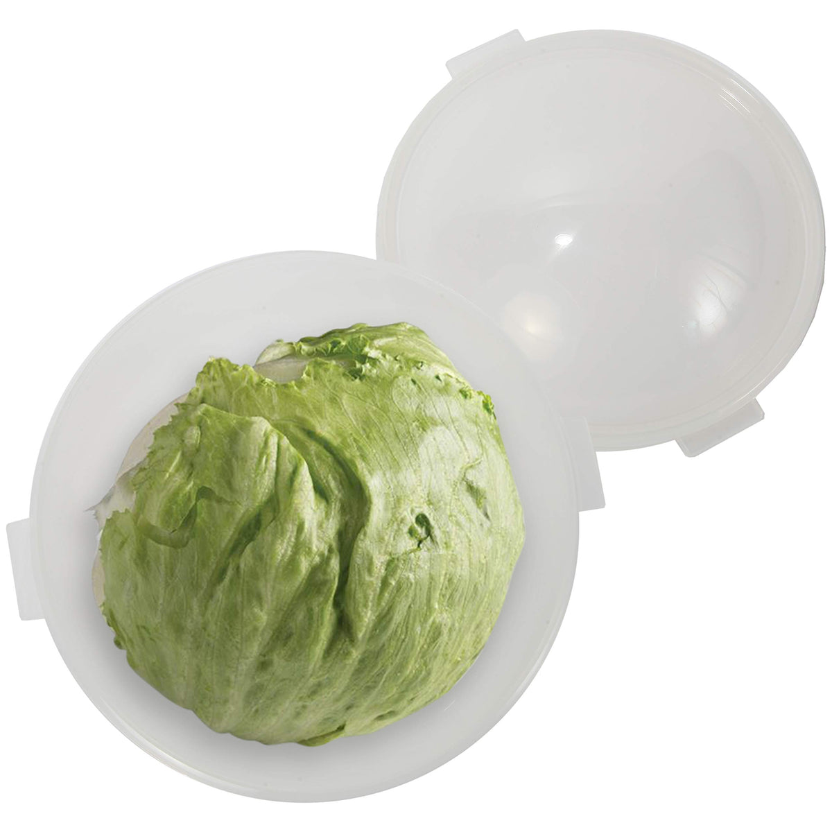 Contenedor Trenton Gifts para lechuga y verduras, tamaño 7x8, mantiene la frescura.