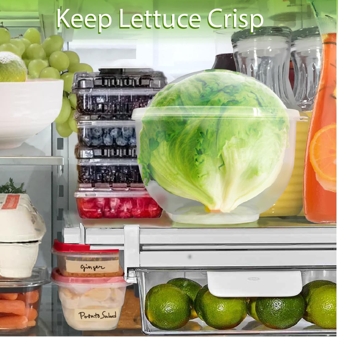 Limpieza fácil del contenedor para verduras de Trenton Gifts.