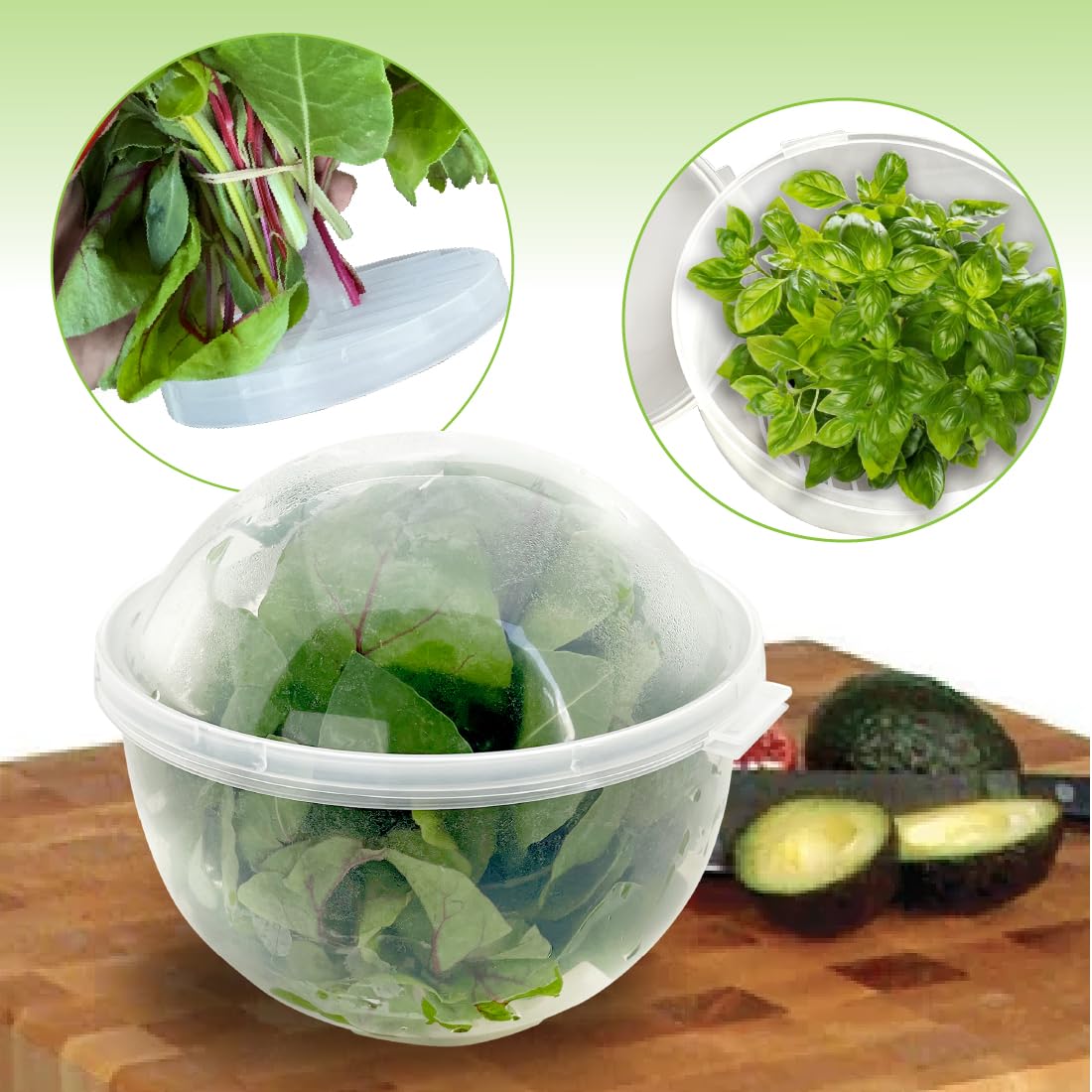 Previene humedad excesiva en verduras frescas — Trenton Gifts.