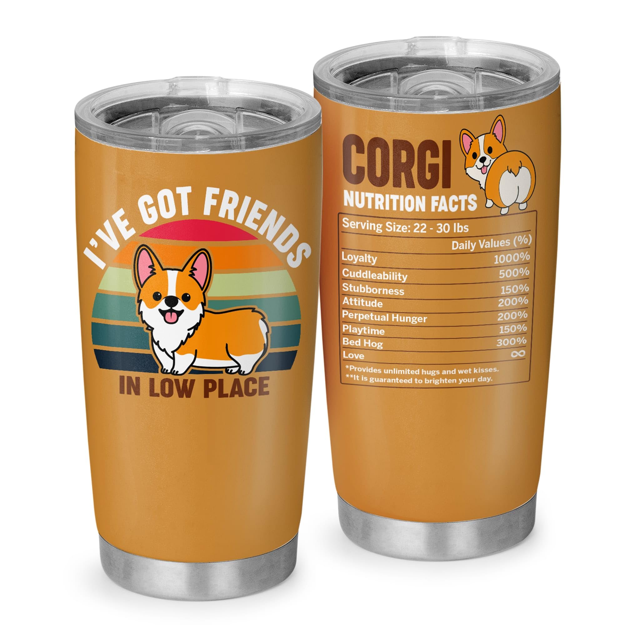 TSIMPLE vaso termico Corgi 20oz con tapa, ideal para llevar bebidas en la calle