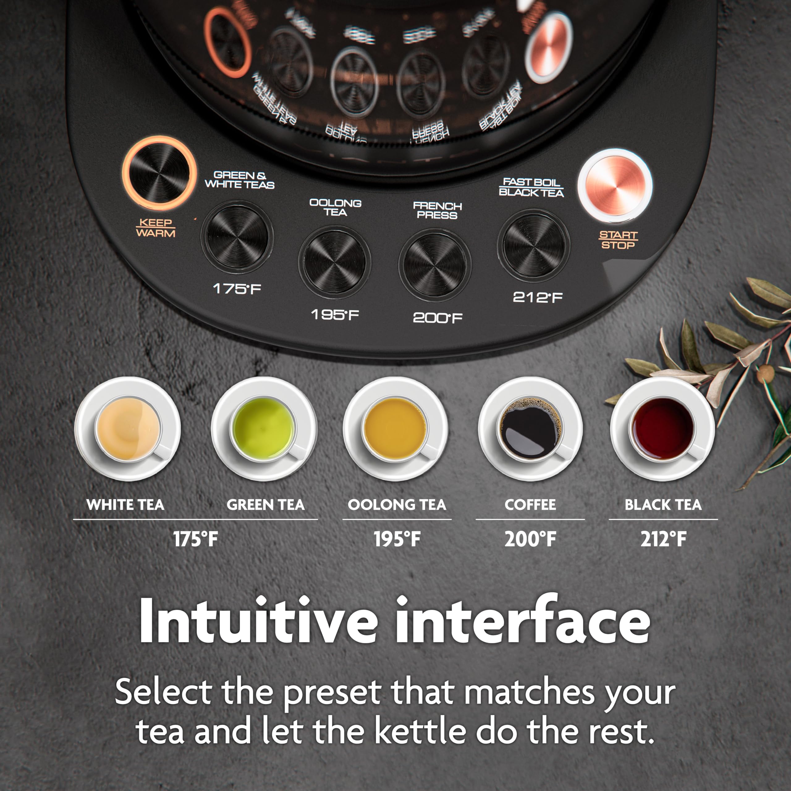 Programas de infusión de Vianté para té y café.