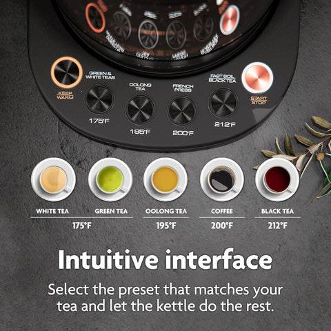 Programas de infusión de Vianté para té y café.