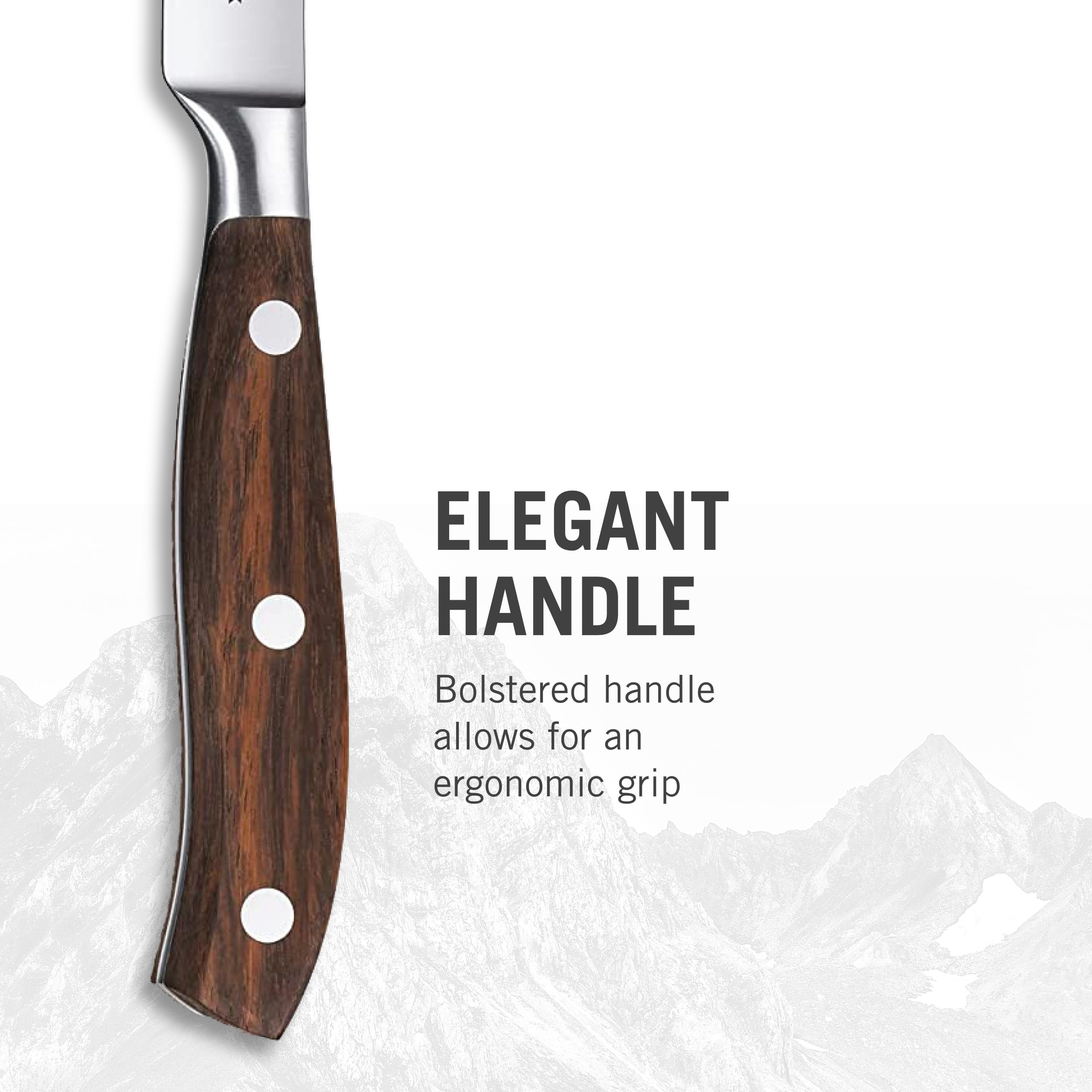 Conjunto de cuatro cuchillos Victorinox Grand Maître para uso diario.