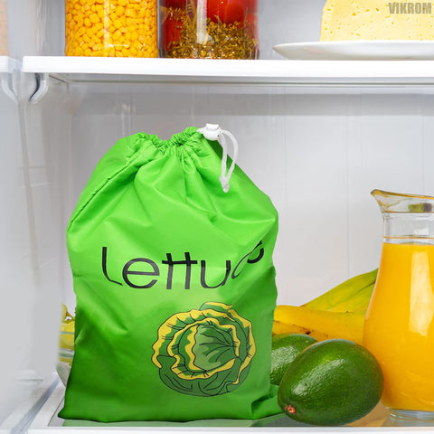 Lettuce Keeper de VIKROM, tamaño ideal para lechuga y apio, almacenamiento ordenado.