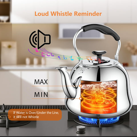 Weftnom tetera acero inoxidable 304, duradera y resistente