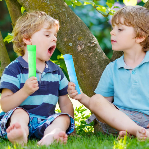 Wercokt ideas de snacks saludables en paletas caseras
