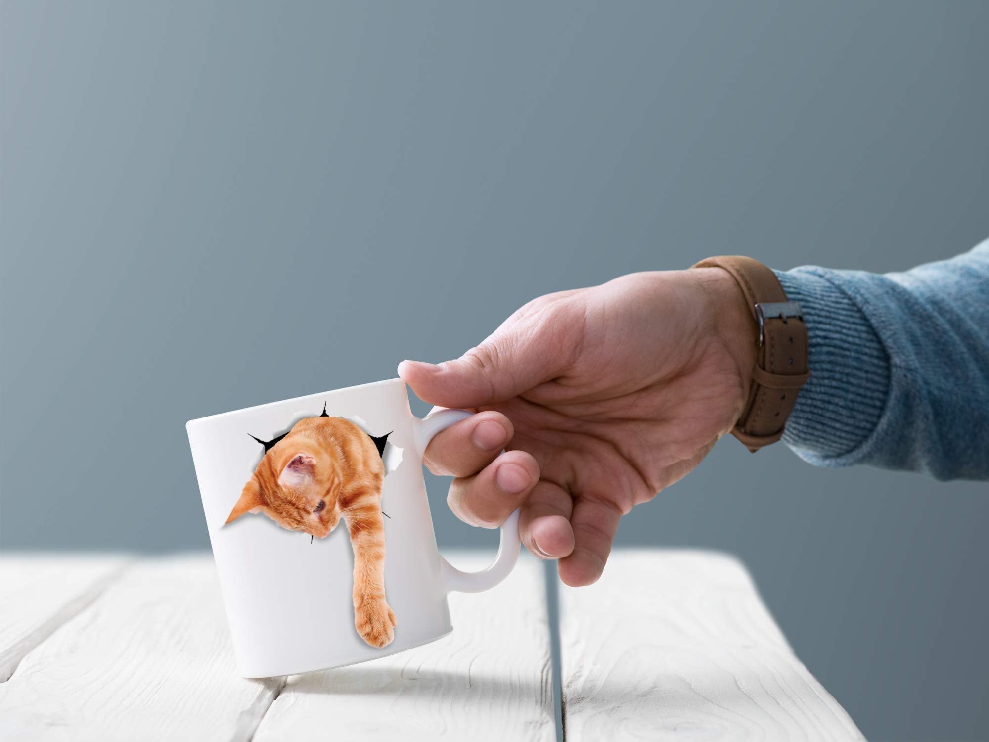 Taza Winston & Bear gatito jengibre naranja en mano izquierda, visual atractivo