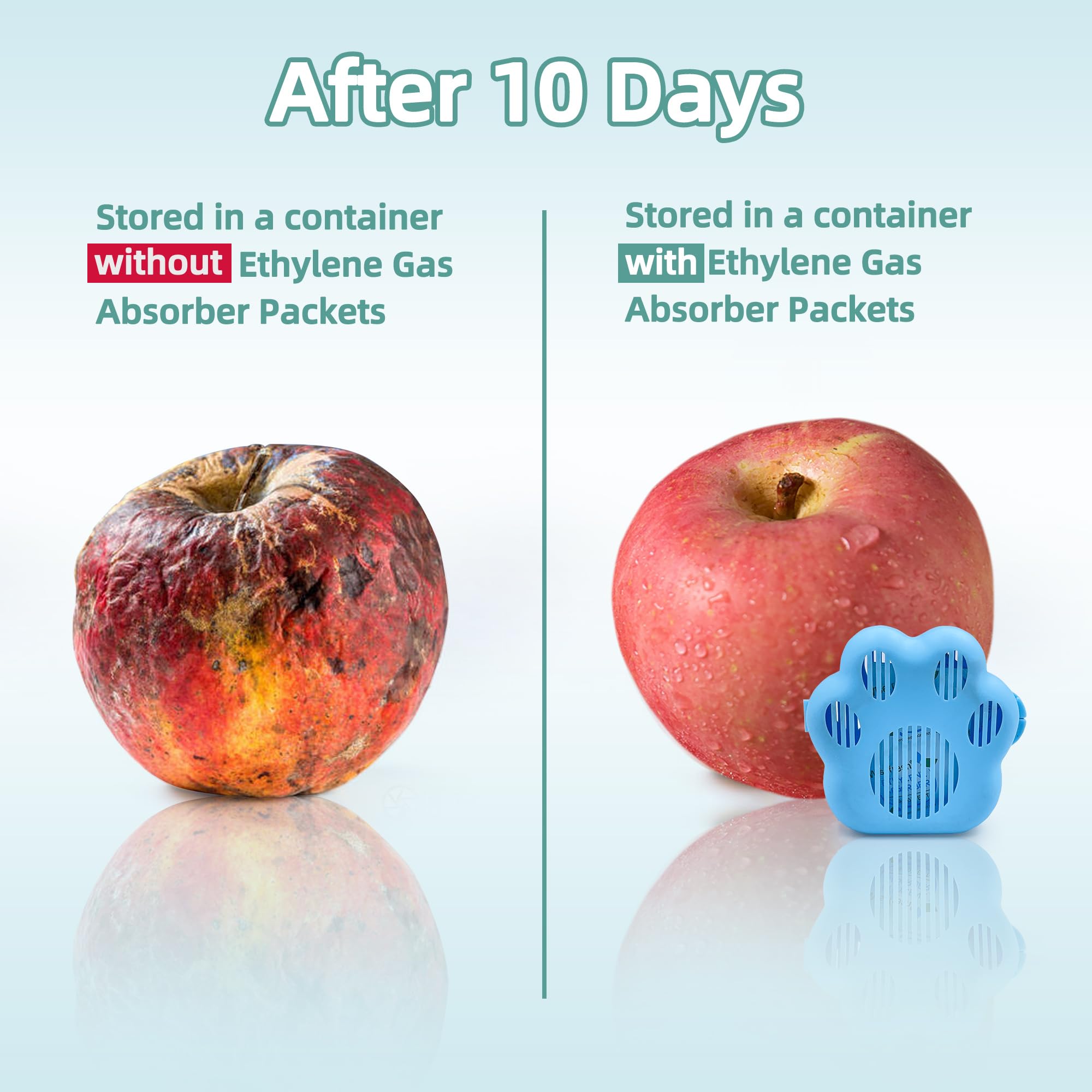 Contenedor con WiseFresh dentro de un bol de frutas para frescura prolongada.
