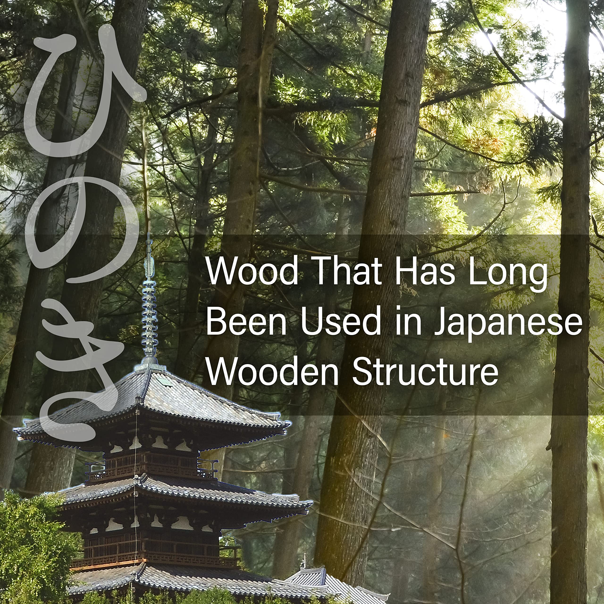 YAMASAN KYOTO UJI: diseño ligero para manejo cómodo en la cocina diaria.