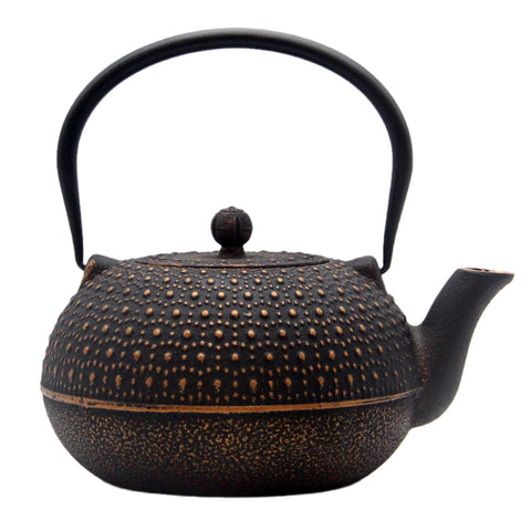 Tetera YJX de hierro con diseño tetsubin para hervir agua y preparar té