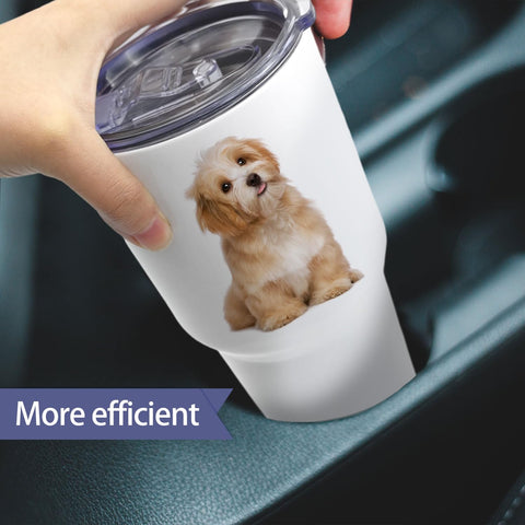 YOUKE OLA tumbler diario para viajes y oficina, mantiene bebidas frías.