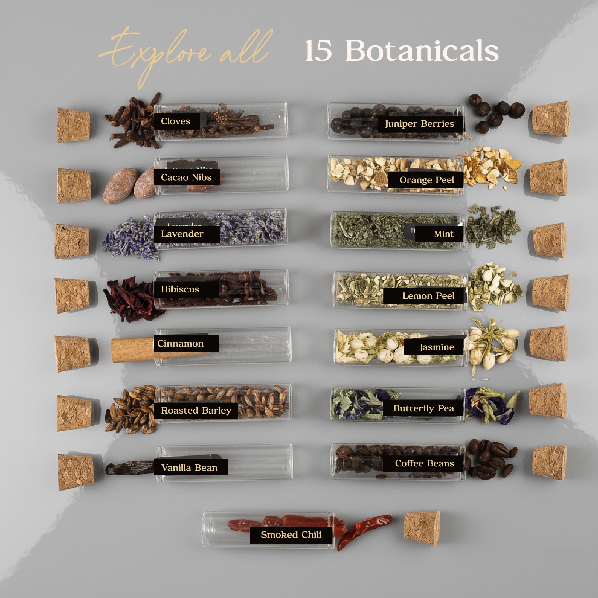 Your Dream Party Shop kit infusión piedras whisky, enfriamiento suave sin dilución