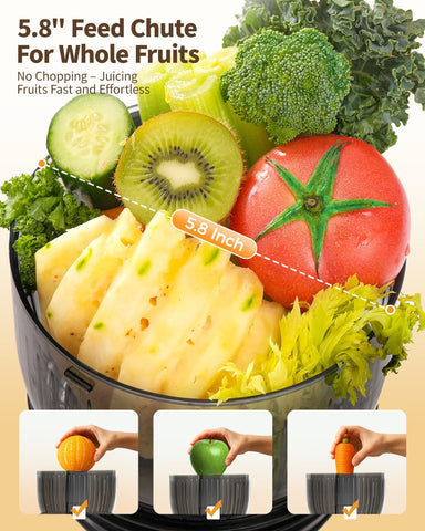 Zachvo MP-802M, boca de alimentación de 5-8 pulgadas para ingredientes enteros.