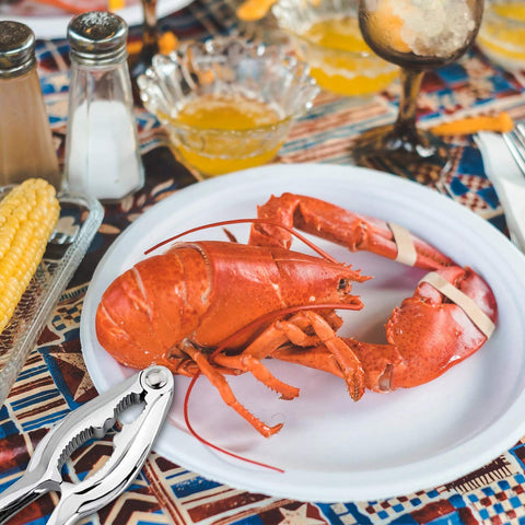 ZAUGONTW apto para lavavajillas, limpieza rápida tras mariscos