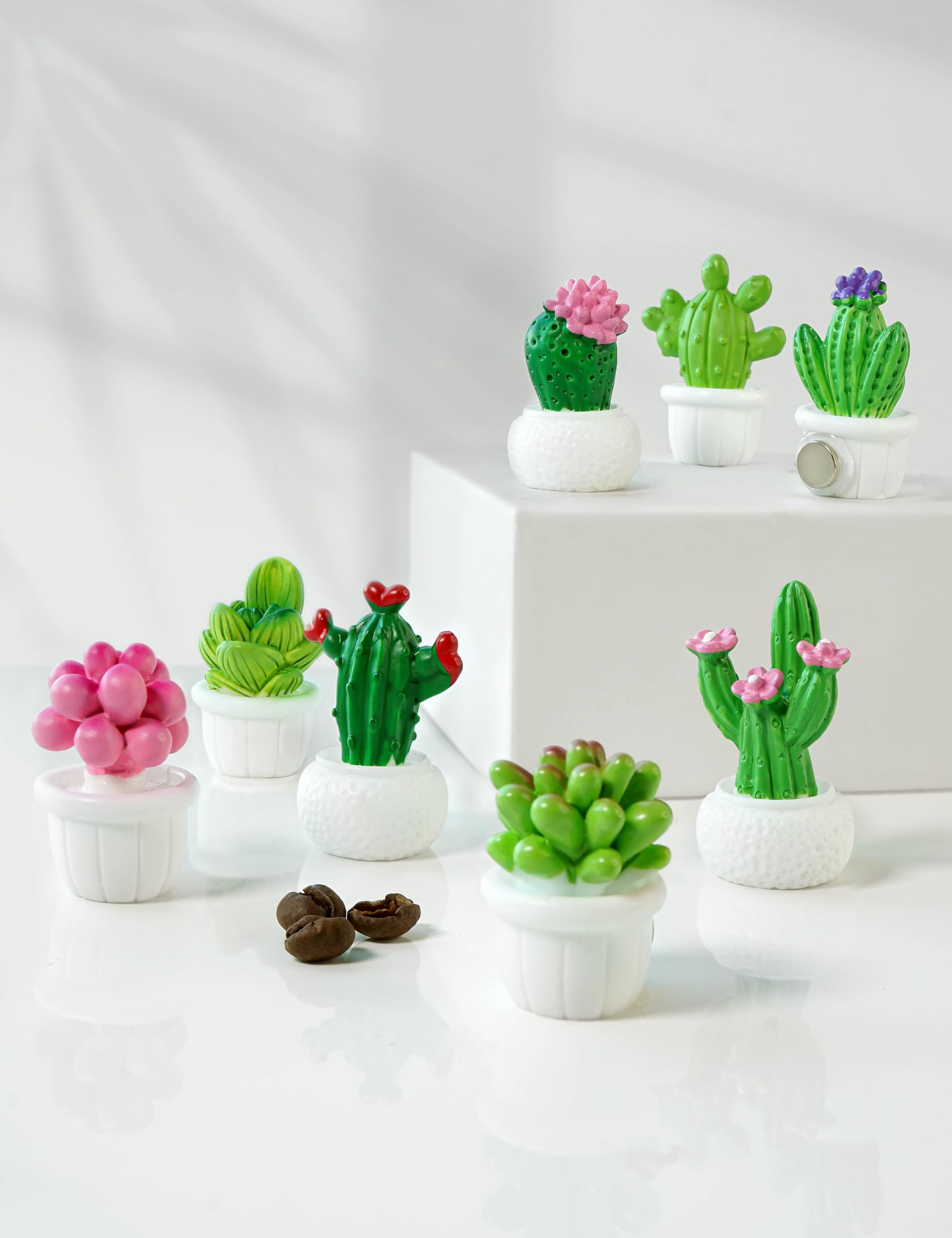 Imanes cactus Zreal, colores vibrantes para fijar fotos y recordatorios.