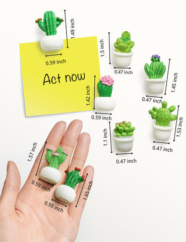 Imanes cactus Zreal con diseño 3D, decoran cocinas con toque lúdico.