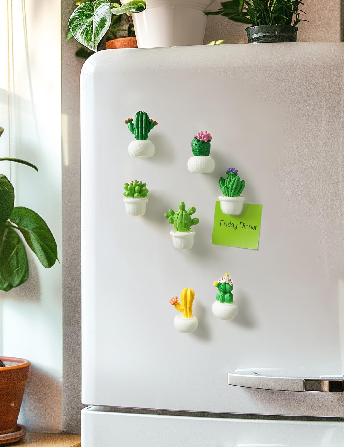 Imanes cactus Zreal, tamaños compactos para usar sin cubrir contenido.