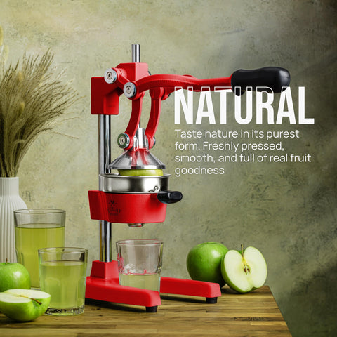 Zulay Kitchen Exprimidor Cítrico, cuenco de 5 pulgadas, jugo rápido y sin semillas
